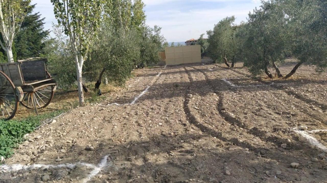 Cortijo La Torre De Caniles La Vega  Zewnętrze zdjęcie